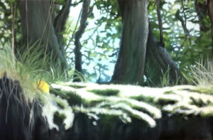 Moos, Bäume, Sonnenlicht, Buchen Stämme Gras Himmel Malerei Acryl Landschaft