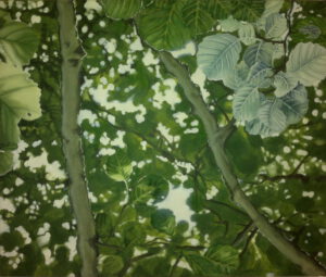 grüne Blätter Blätterdach Licht Chlorophyl Sonne Strahlen Buche